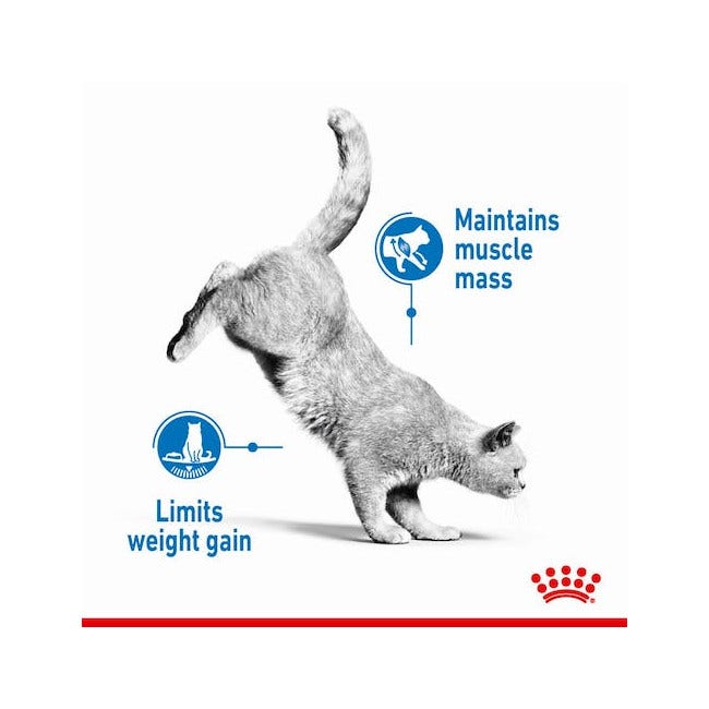 Royal Canin Wet Cat Light Weight Wet Sachet 85g-4