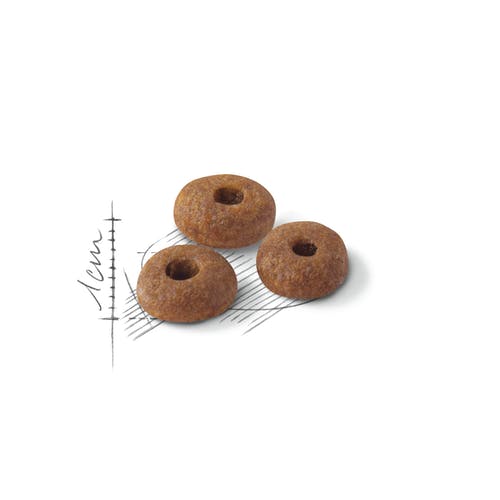 Royal Canin Feline Regular Fit 32 Alimento Seco Para Gatos Bolsa 2kg-1