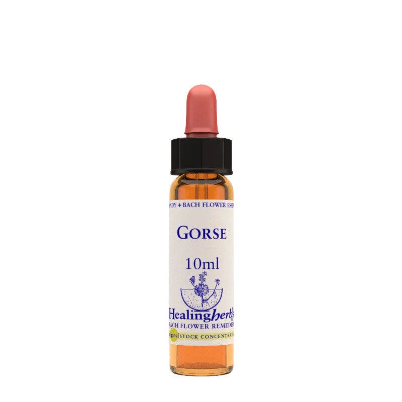 ESENCIA DE AULAJA 10ML-1