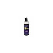DOGWOOD ESS 7,4ML BECERRO-1