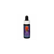 PINCEL INDIO 7,4ML BECERRO-1