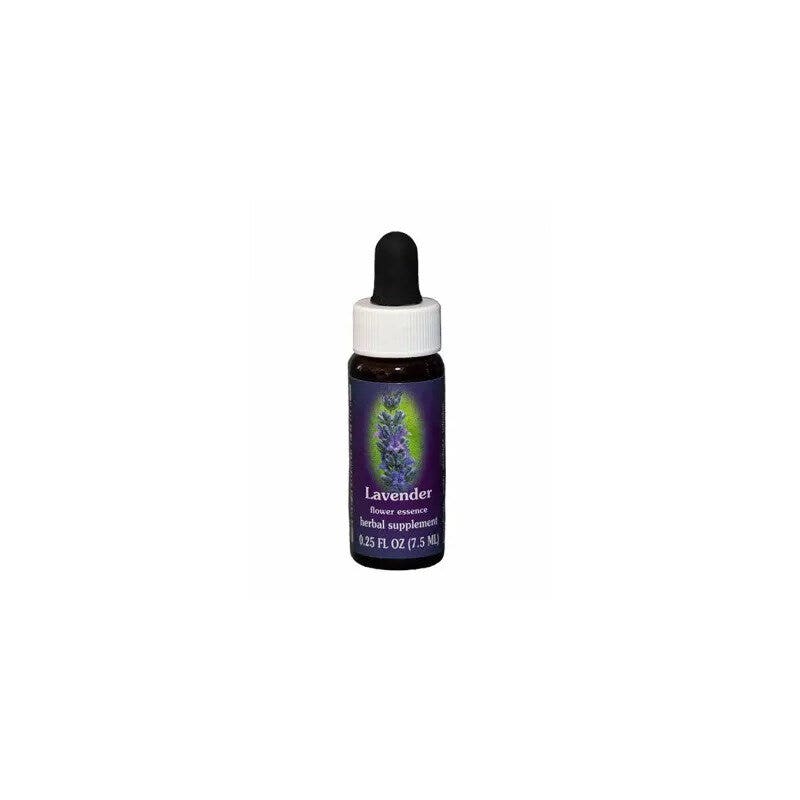 LAVANDA ESS 7,4ML CALF-1