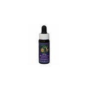 STICKY MONKEYFLOWER 7,4ML CALF-1