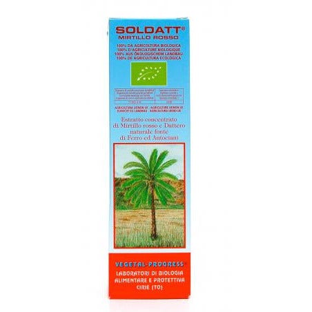Soldatt Arándano 100ml-2