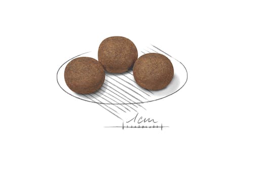 Royal Canin Croquetas Para Cachorros Tamaño Mediano Bolsa 15kg-4
