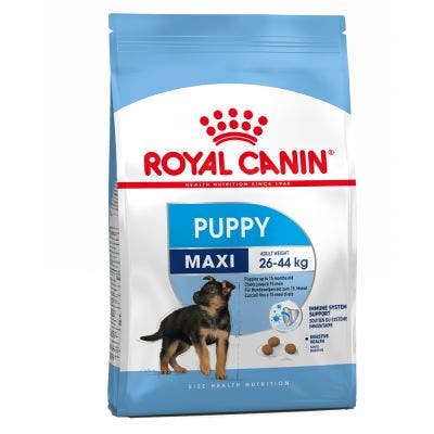 Royal Canin Puppy Alimento Seco Para Cachorros Perros Grandes Bolsa 4kg-3