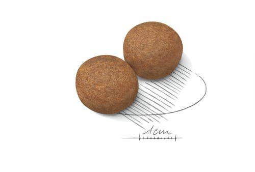 Royal Canin Croquetas Para Perros Adultos Tamaño Grande Bolsa 15kg-4