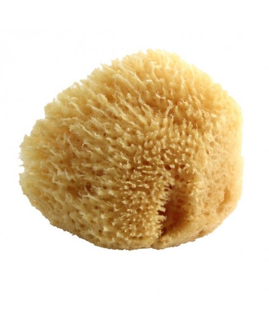 Esponja Natural Mediana 1 Pieza-1