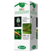 Macerado de Brotes Amentos de Abedul 100ml-2