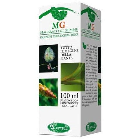 Macerado de Brotes Amentos de Abedul 100ml-2