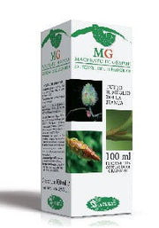 Castaña Macerada Con Brotes 100ml-2