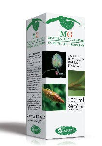 Castaña Macerada Con Brotes 100ml-2