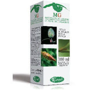 Castaño de Indias macerado con cogollos 100ml-2