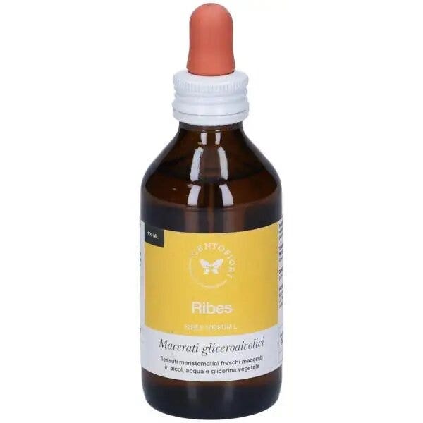 GEMA DE GROSELLA 100ML MG-1