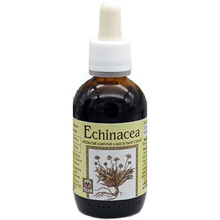 Ecol Equinácea Extracto Sin Alcohol 50ml-3