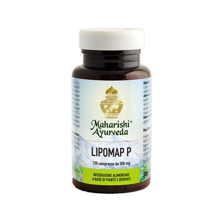 Lipomap P 120 Comprimidos-2