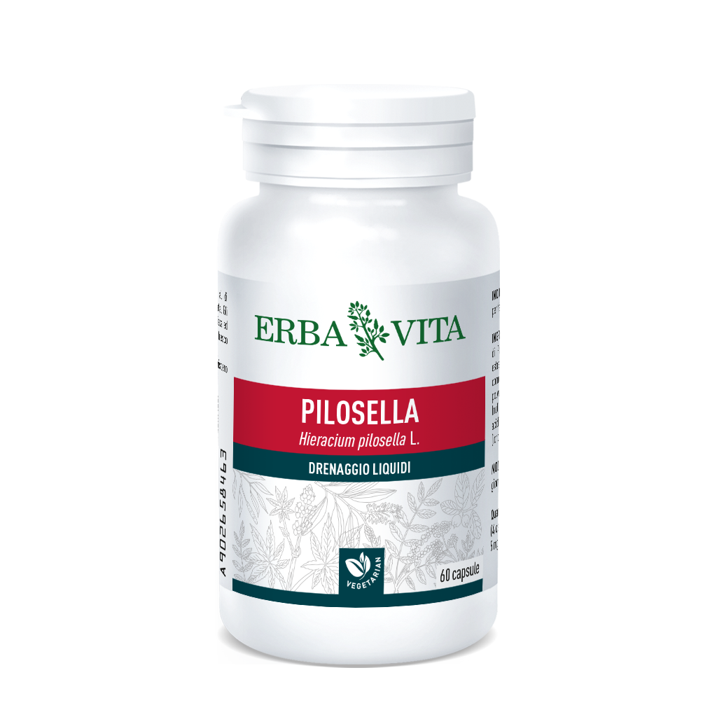 Erba Vita Pilosella 60 Cpsulas-4