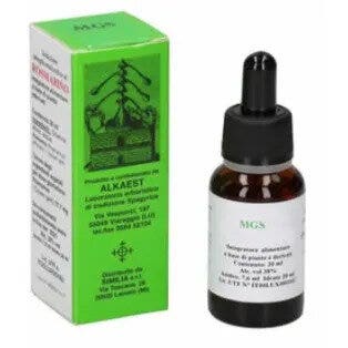 Mgs8 Macerado Glicérico Enebro Spg 20ml-1