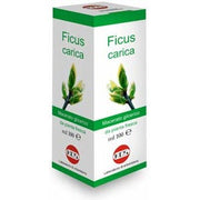 Ficus Carica Macerato Glicerico 100ml-1