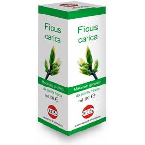 Ficus Carica Macerato Glicerico 100ml-1