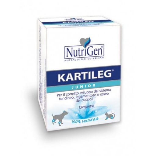 Kartileg Junior 60 Comprimidos-1