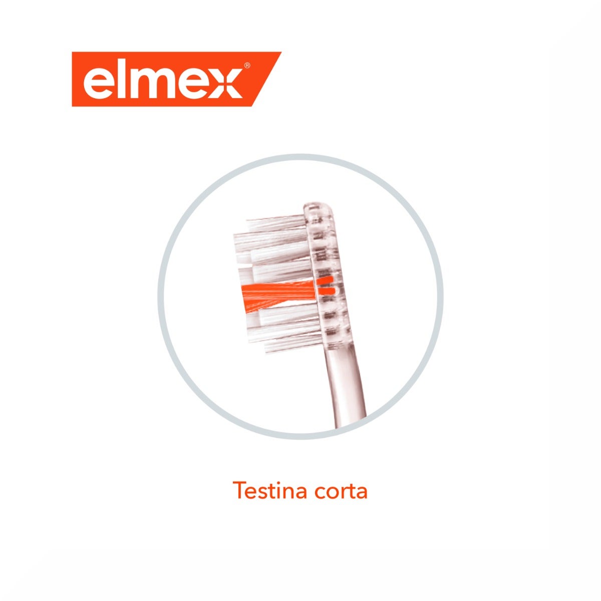 Elmex Inter X Cepillo De Dientes Protección Media 1 Pieza-8