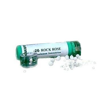 Armónica 26 Roca Rosa 70gr-1