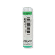 ARMÓNICO 15 ACEBO 70GR-1