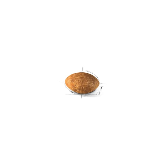 Royal Canin Feline Persian Adult Alimento Seco Para Gatos Bolsa 10kg-3