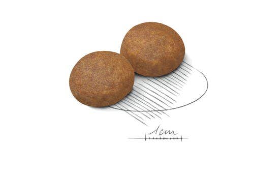 Royal Canin Croquetas Para Perros Adultos 5 Años + Bolsa Tamaño Grande 15kg-3