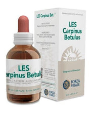 LES CARPINUS BETULUS GOTAS 50ML-1