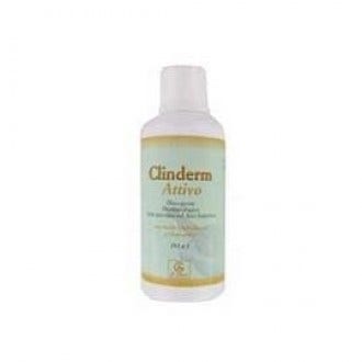 Cinderm Active Champú-Ducha 500ml-1