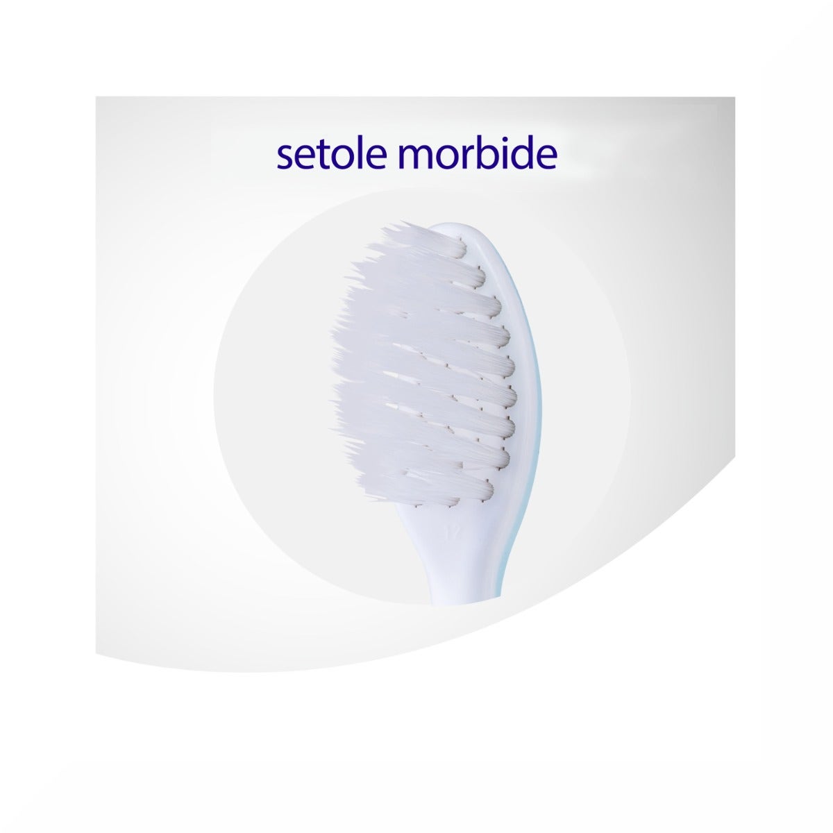 Meridol Cepillo Dental Protección Encías Suave 1 Pieza-18