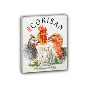 Nuevo Corisan Adyuvante Para Vías Respiratorias Volátiles 100g-1
