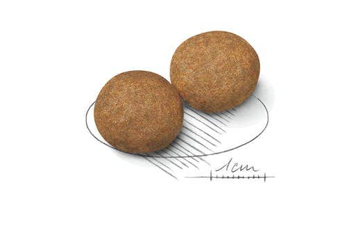 Royal Canin Croquetas Para Perros Adultos Tamaño Mediano Bolsa 15kg-4