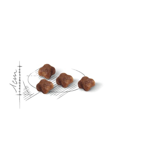 Royal Canin Feline First Age Mother And Babycat Alimento Seco Para Gatos Bolsa 400g-3