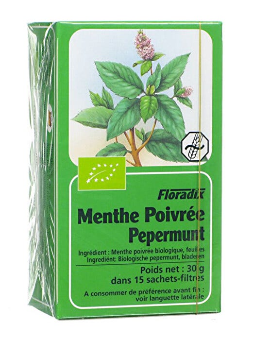 Floradix Infusión de Menta Orgánica 15 filtros-1