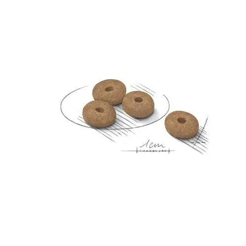 Royal Canin Light Weight Care Alimento Seco para Perros Tamaño Mini Bolsa 8kg-2