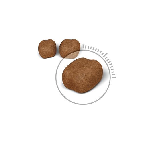 Royal Canin Feline Oral Care Alimento Seco Para Gatos Bolsa 1,5kg-2