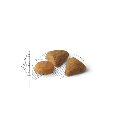 Royal Canin Feline Preference Savor Exigent Pienso para Gatos Bolsa 10kg-3