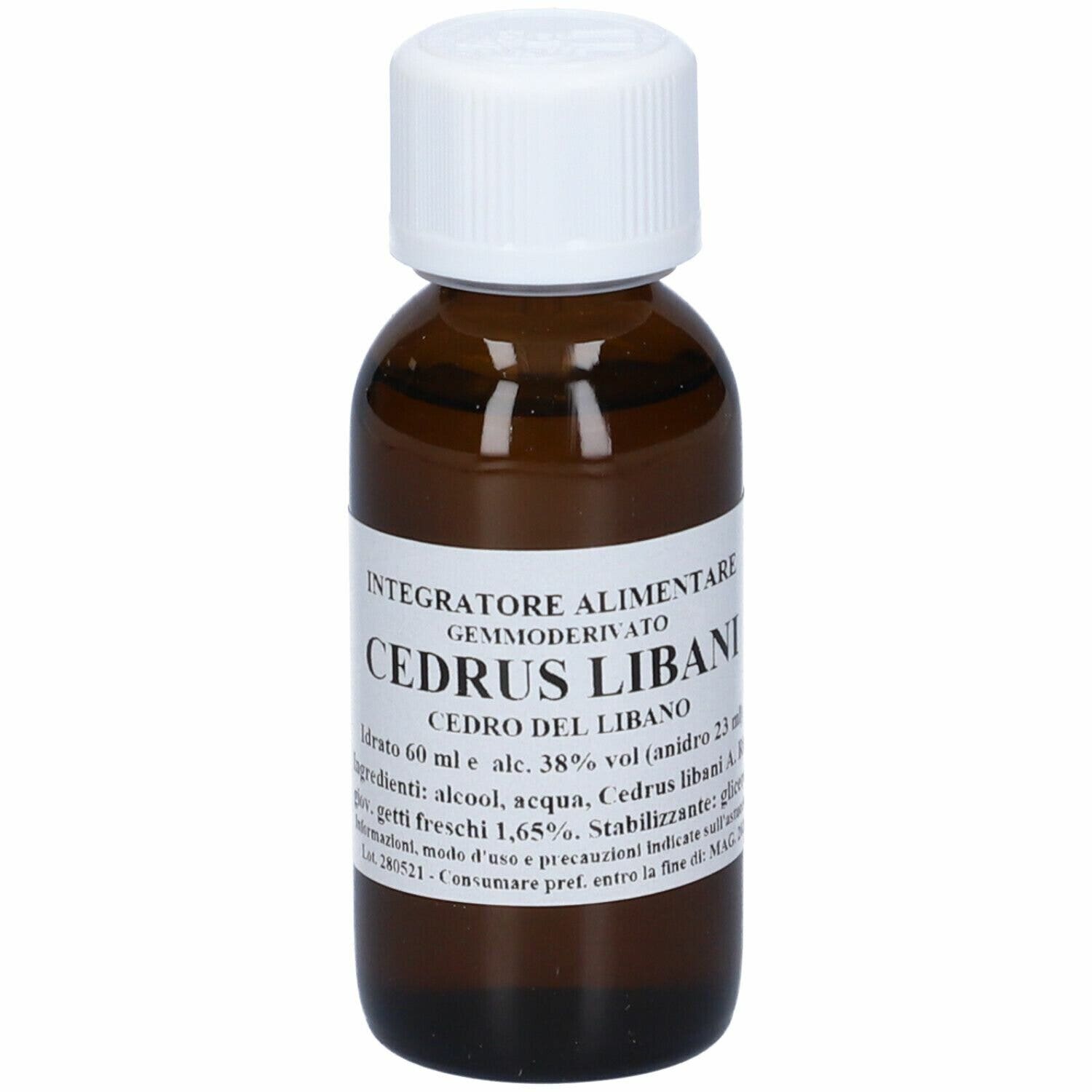 CEDRO LEBANI 60ML MG-1