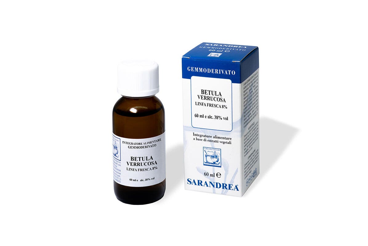 SEMILLAS BETULA VERR 60ML MG-1