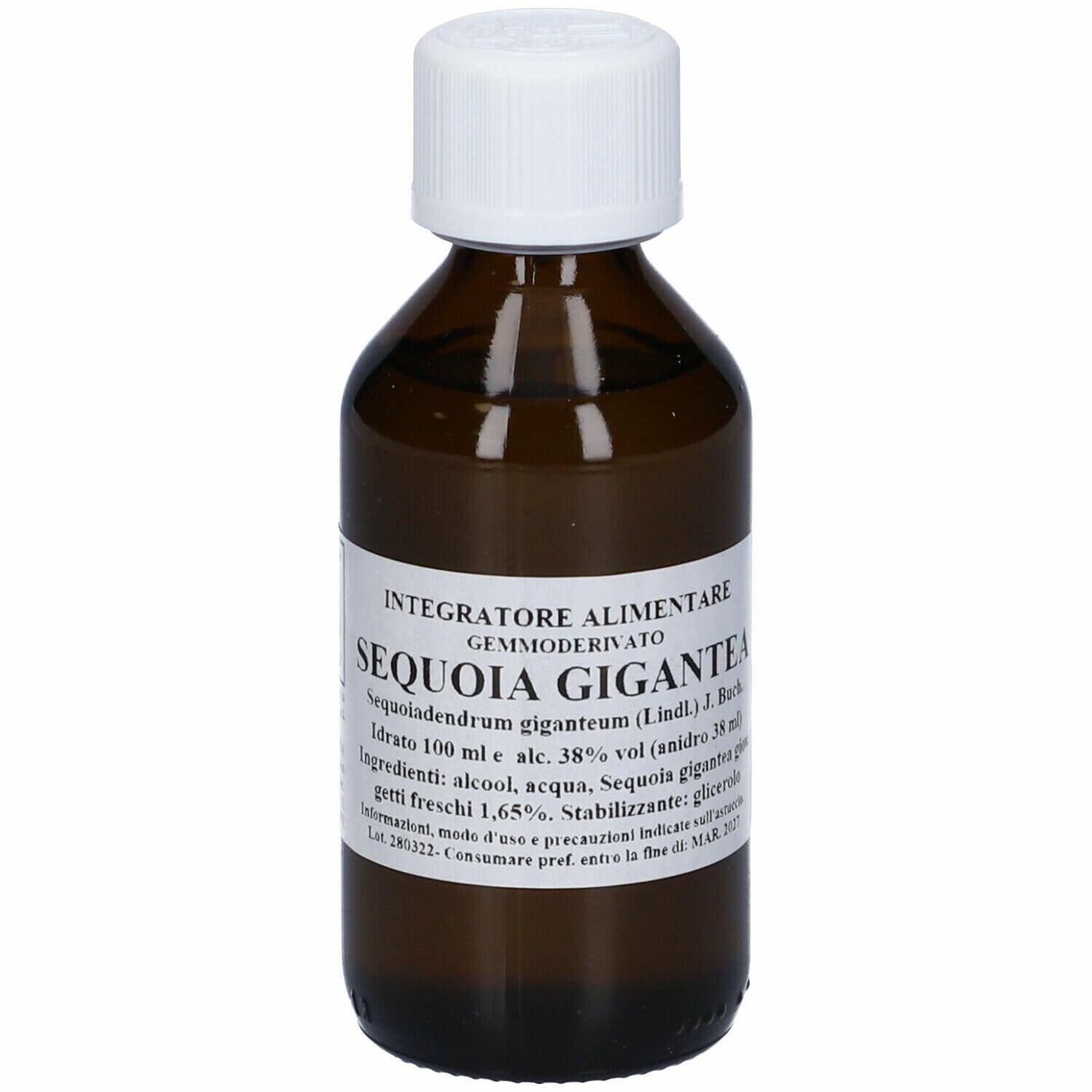 SEQUOIA GIGANTEA 100ML MG-1