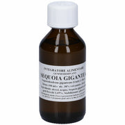 SEQUOIA GIGANTEA 100ML MG-1