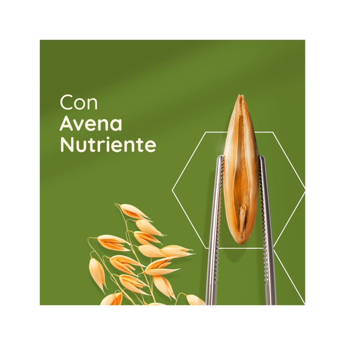 Aveeno Daily Moisturizing Crema Hidratante 100 ml-14