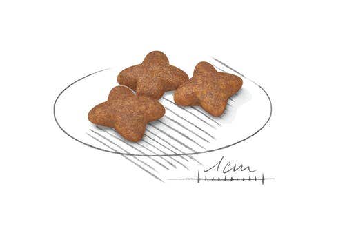 Royal Canin Croquetas Para Perros Adultos Tamaño Mini Bolsa 4kg-2