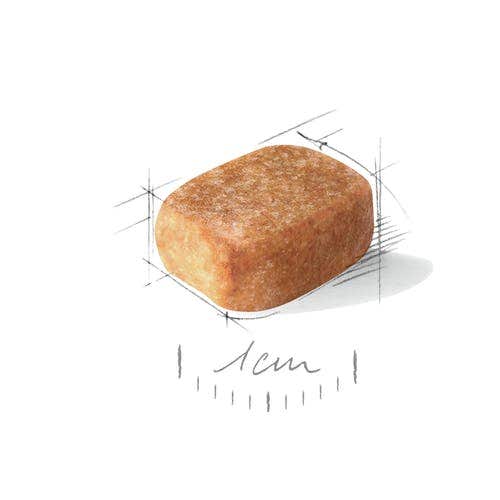 Royal Canin Croquetas Para Perros Chihuahua Adultos Bolsa 500g-2