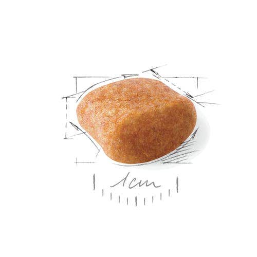 Royal Canin Croquetas Para Perros Caniche Adultos Bolsa 1,5kg-2