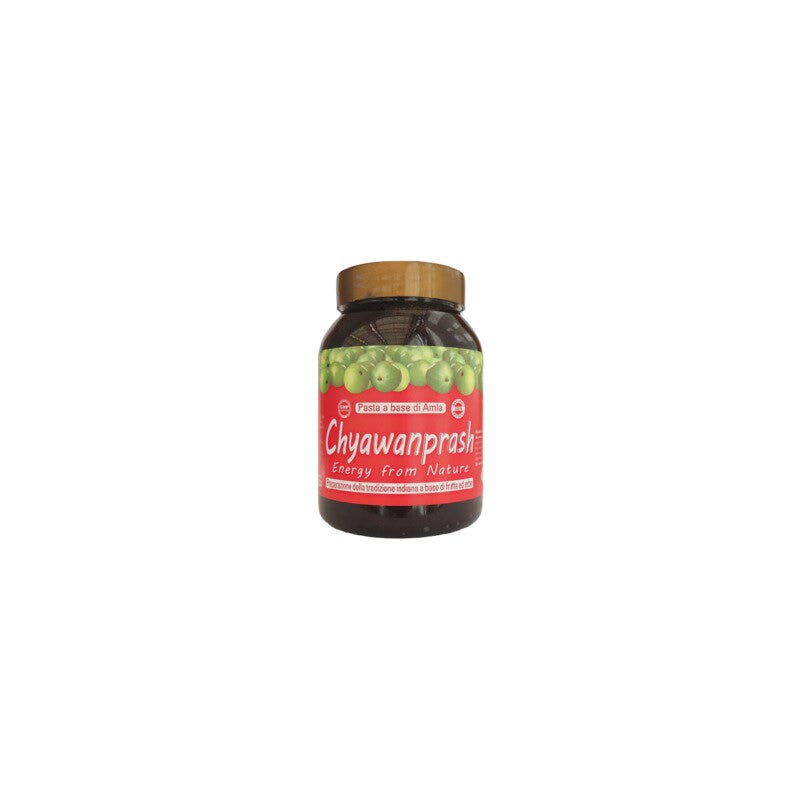 CHYAWANPRASH ESPECIAL 500G-1