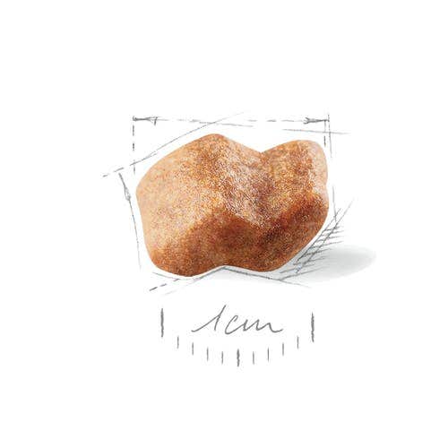 Royal Canin Croquetas Para Perros Cachorros Boxer Bag 12Kg-2